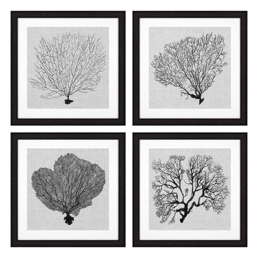 Print 'Shadow Sea Fans' (set van 4