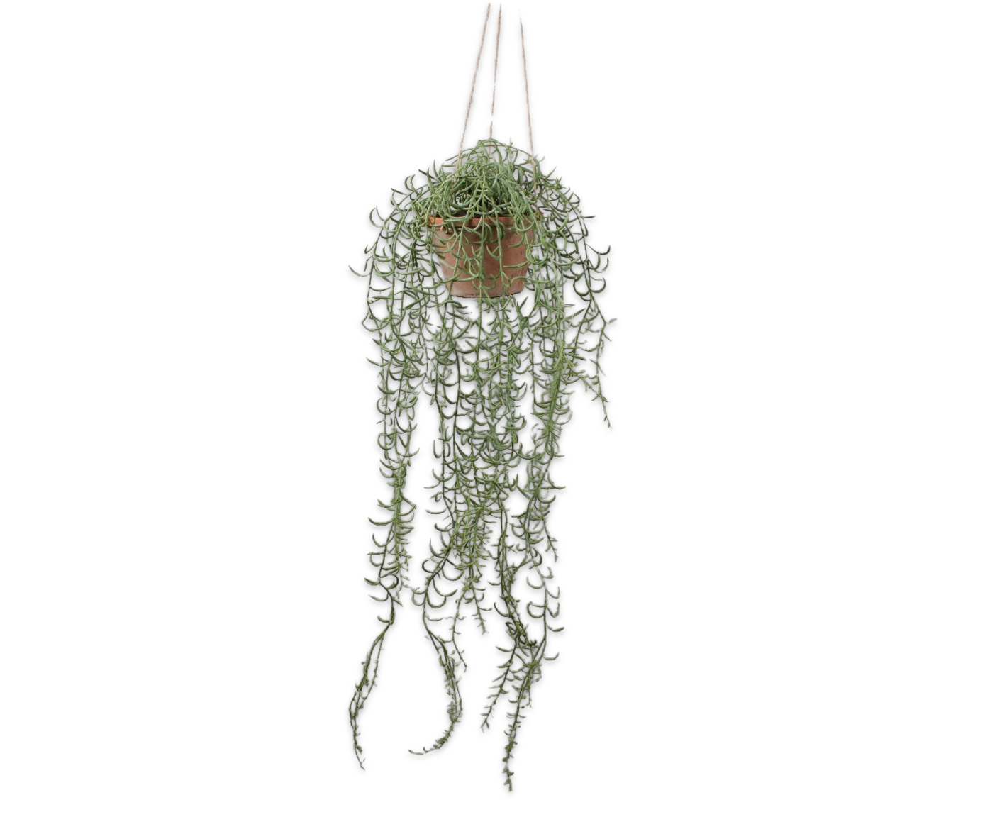 Hangplant Groen | 122 cm