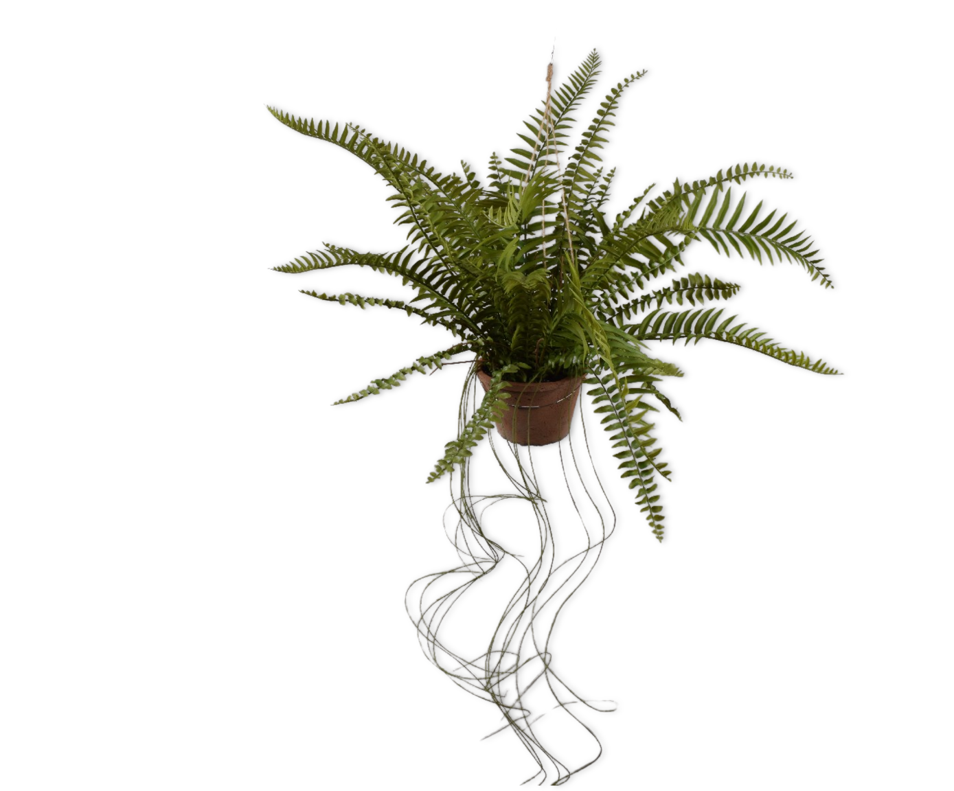 Hangplant Varen Groen | 74 cm