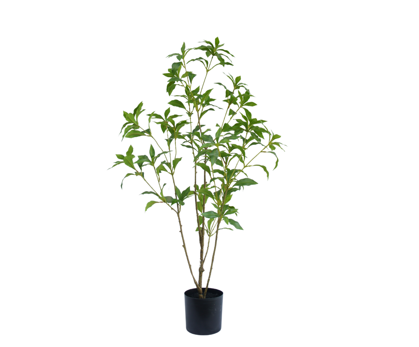 Plant Groen | 70 cm