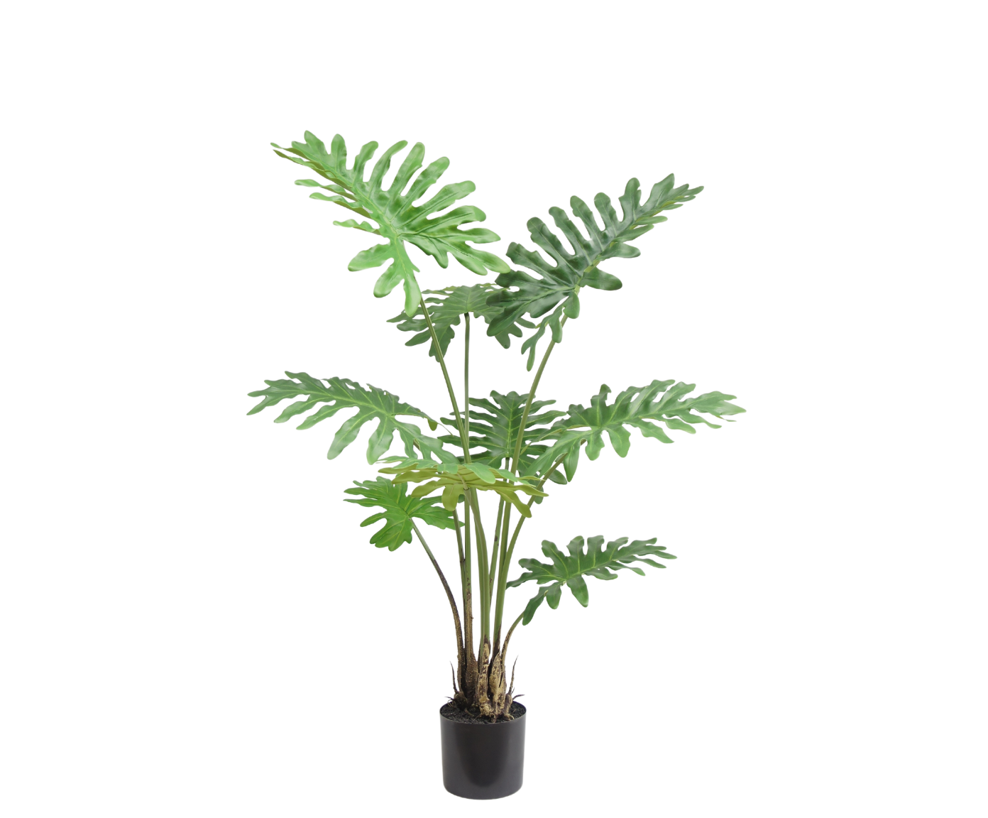 Plant Philodendron Groen | 115 cm