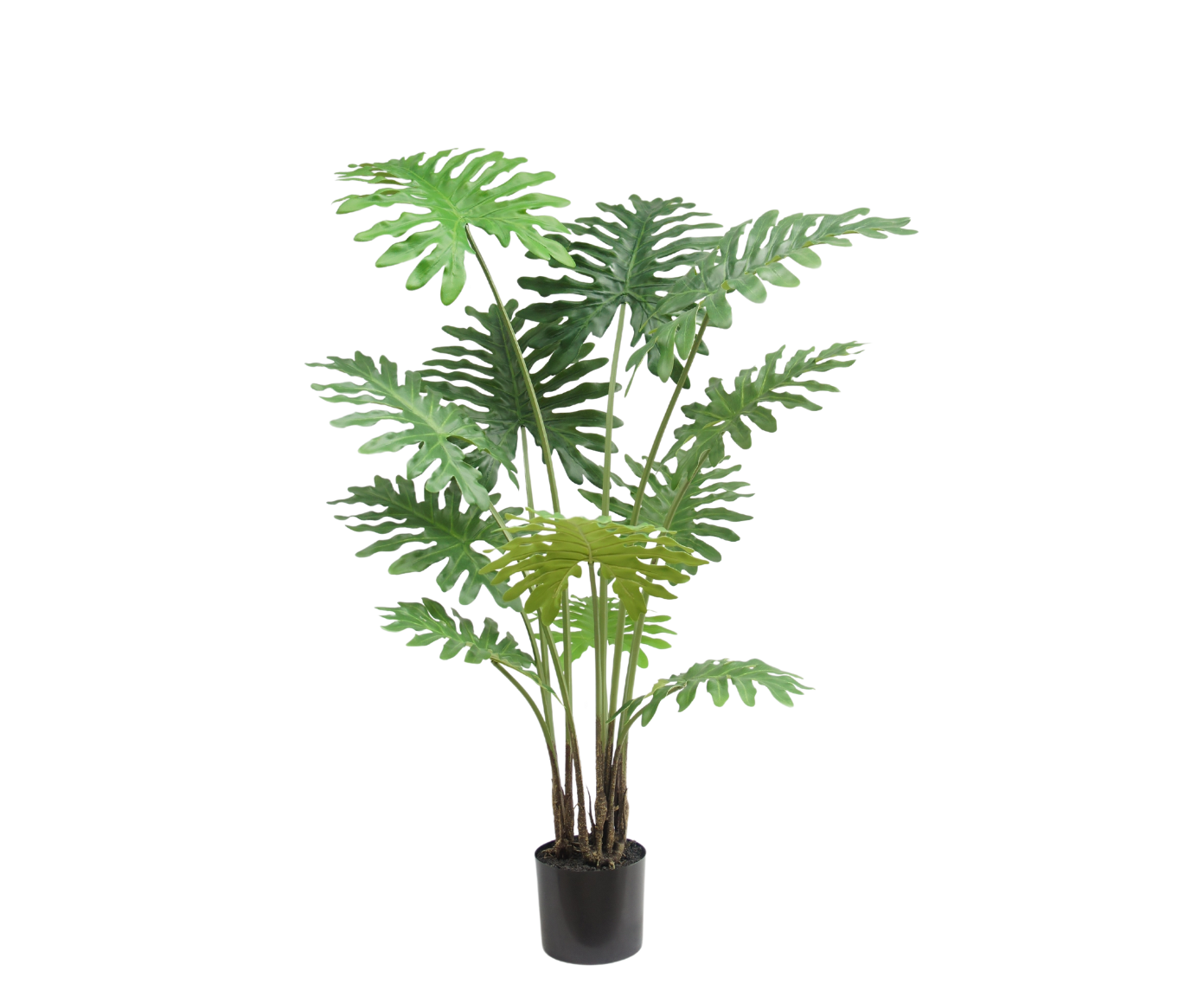 Plant Philodendron Groen | 130 cm