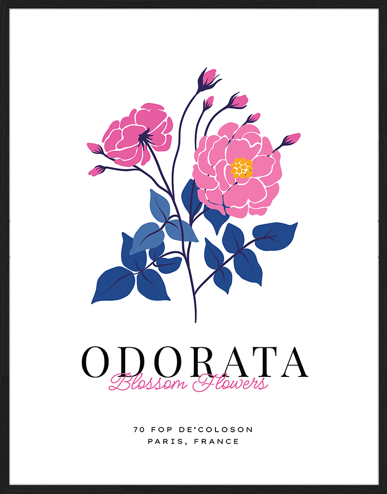 Print 'Odorata'