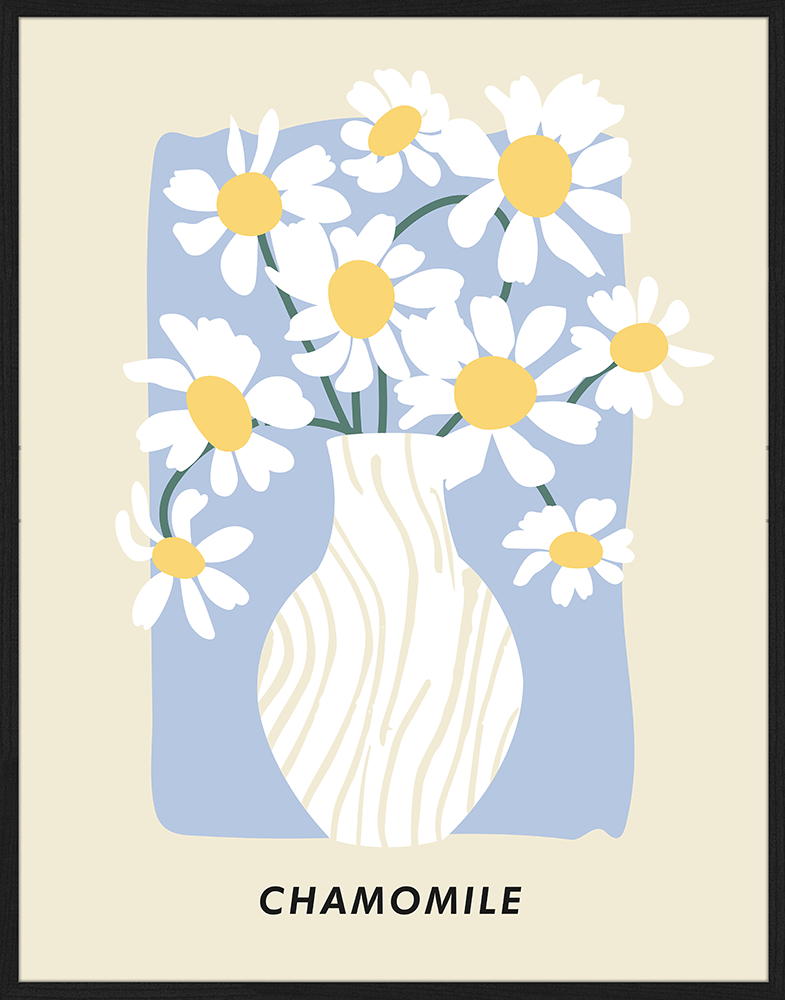 Print 'Chamomile'