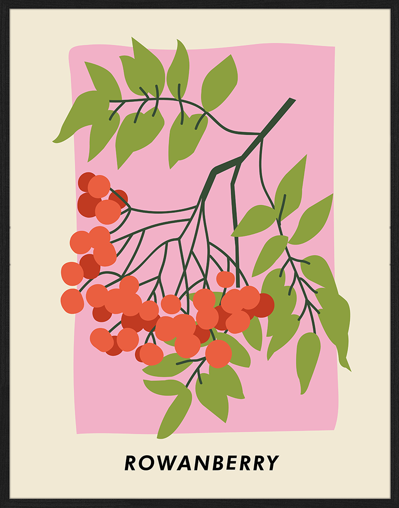 Print 'Rowanberry'