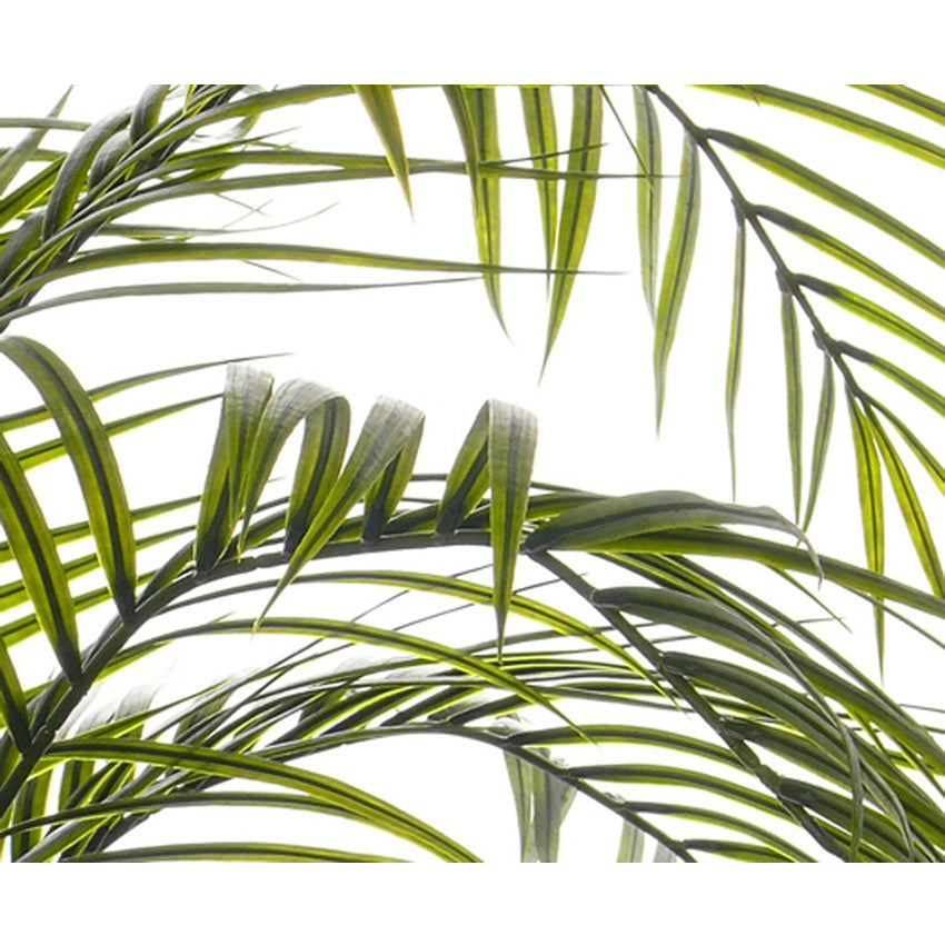 Areca palm UV Groen H175