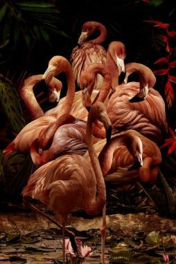 Foto Art - 'Flamingo paradise'