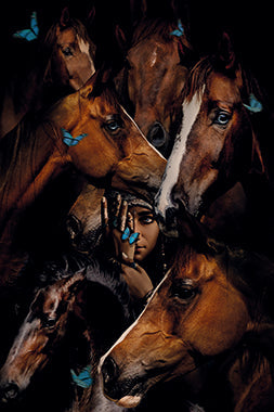 Foto Art - 'Gypsy horses'