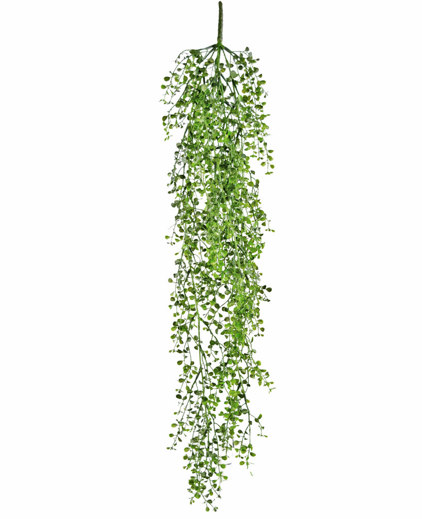 Hangplant Buxus Groen | 80 cm