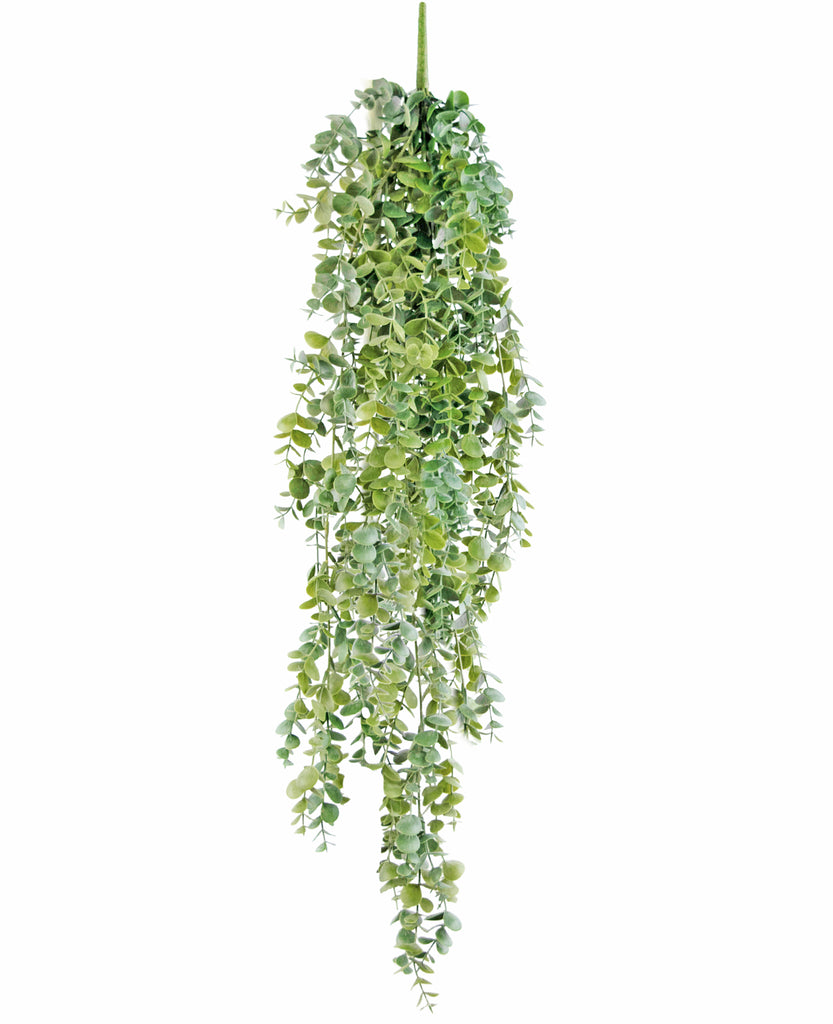 Hangplant Eucalyptus Groen | 60 cm