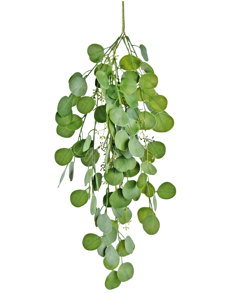 Hangplant Eucalyptus Groen | 73 cm