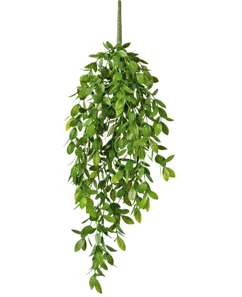 Hangplant Gardenia Groen | 61 cm