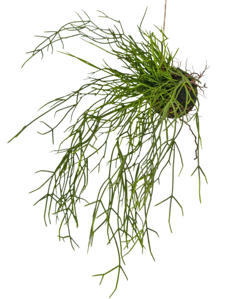 Hangplant Gras Groen | 48 cm