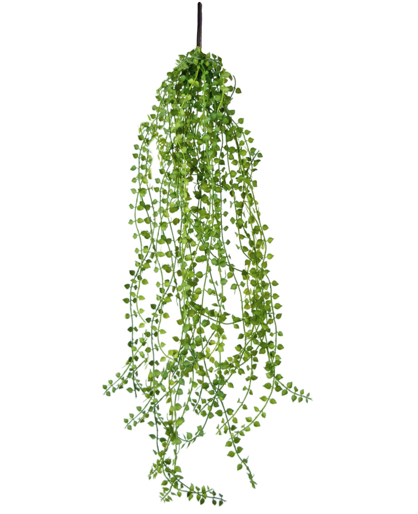 Hangplant Jasmin Groen | 63 cm