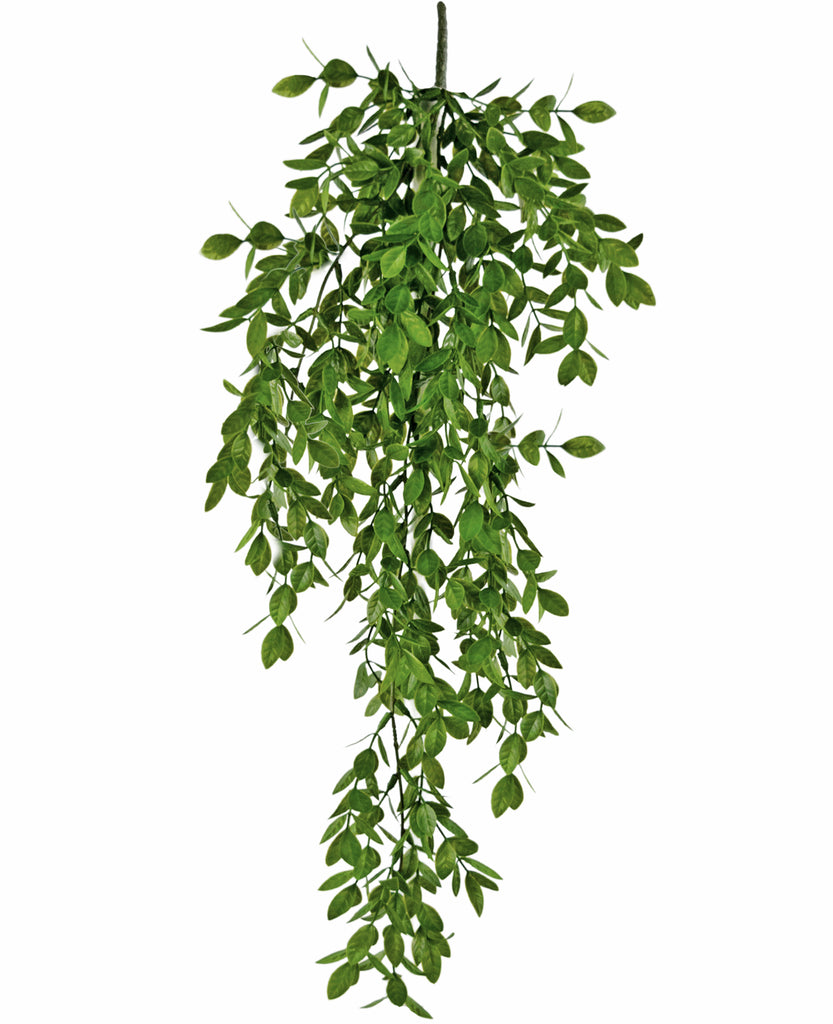 Hangplant Jasmin Groen | 70 cm