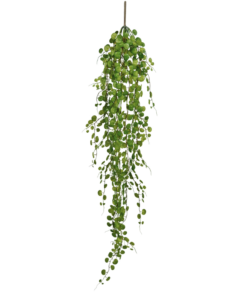 Hangplant Pumila Groen | 100 cm