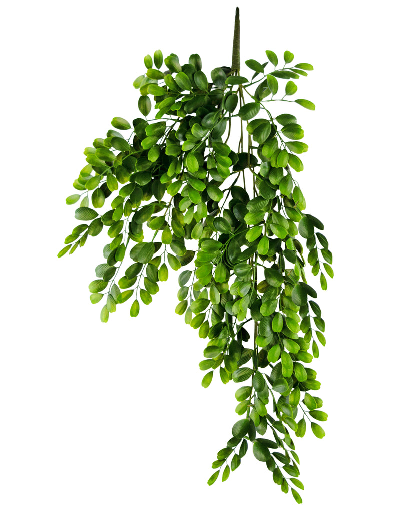 Hangplant Pumila Groen | 86 cm