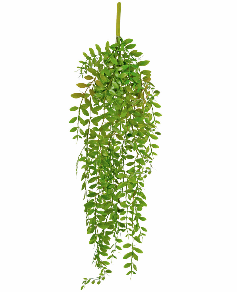 Hangplant Pumila Groen | 89 cm