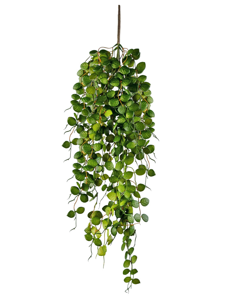 Hangplant Pumila Groen | 96 cm