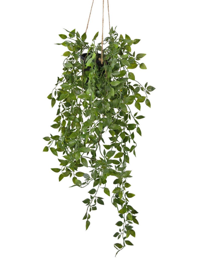 Hangplant Scindapsus Groen | 73 cm