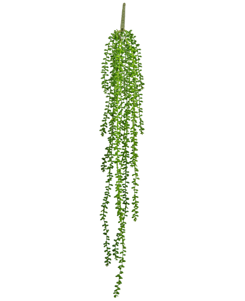 Hangplant Senecio Groen | 91 cm