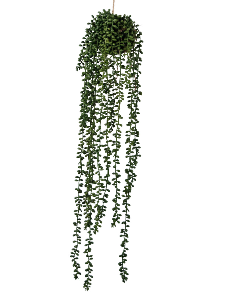 Hangplant Senecio bal Groen | 71 cm