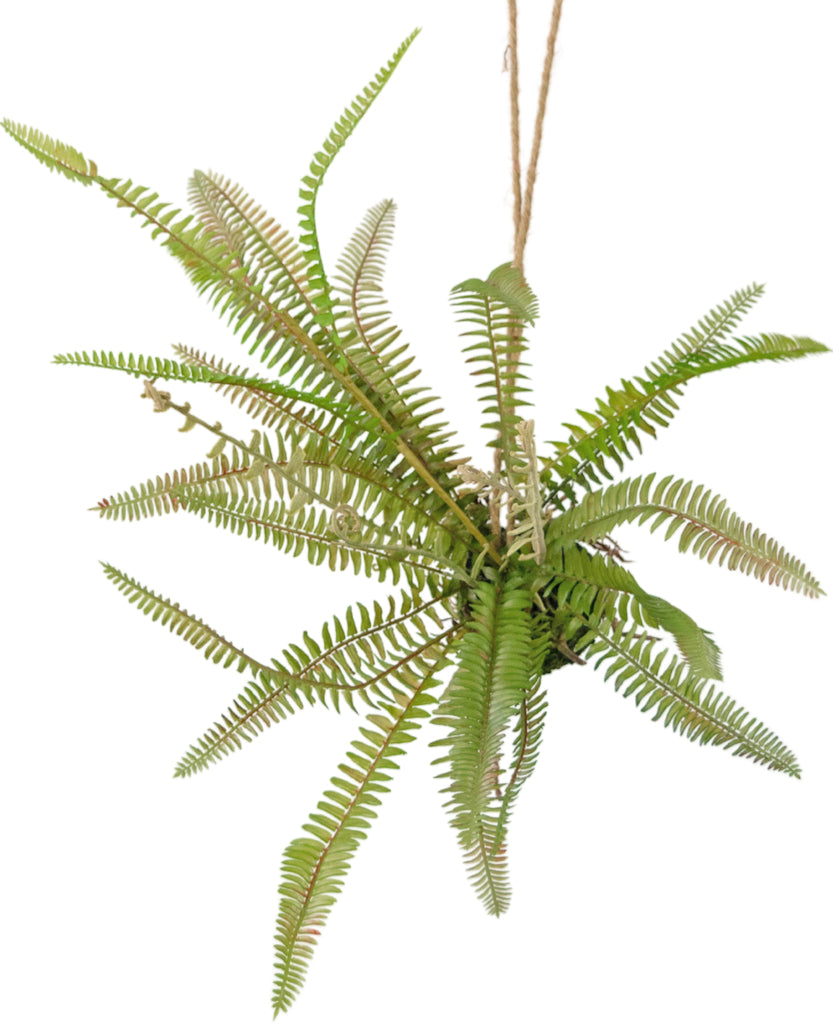 Hangplant Varen Bal Groen | 45 cm