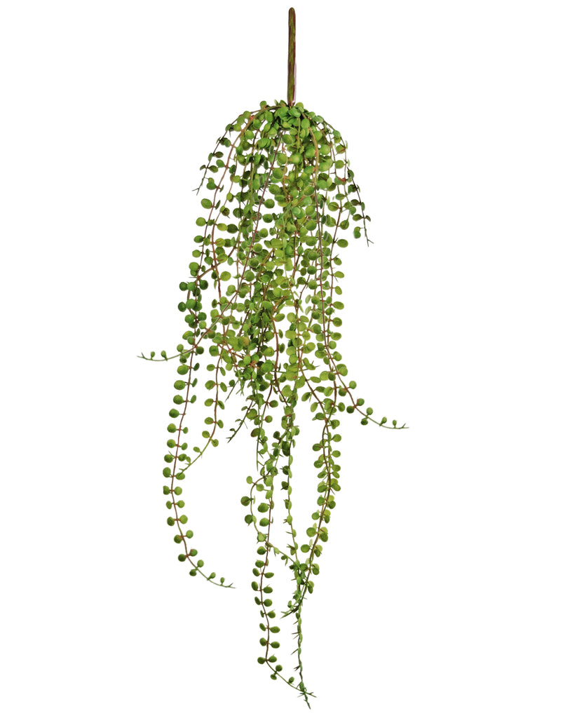 Hangplant Vetplant Groen | 71 cm