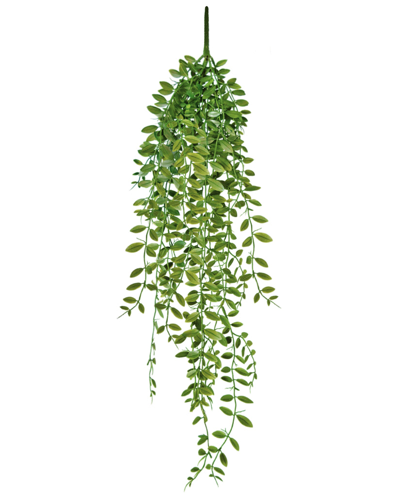 Hangplant Vetplant Groen | 76 cm