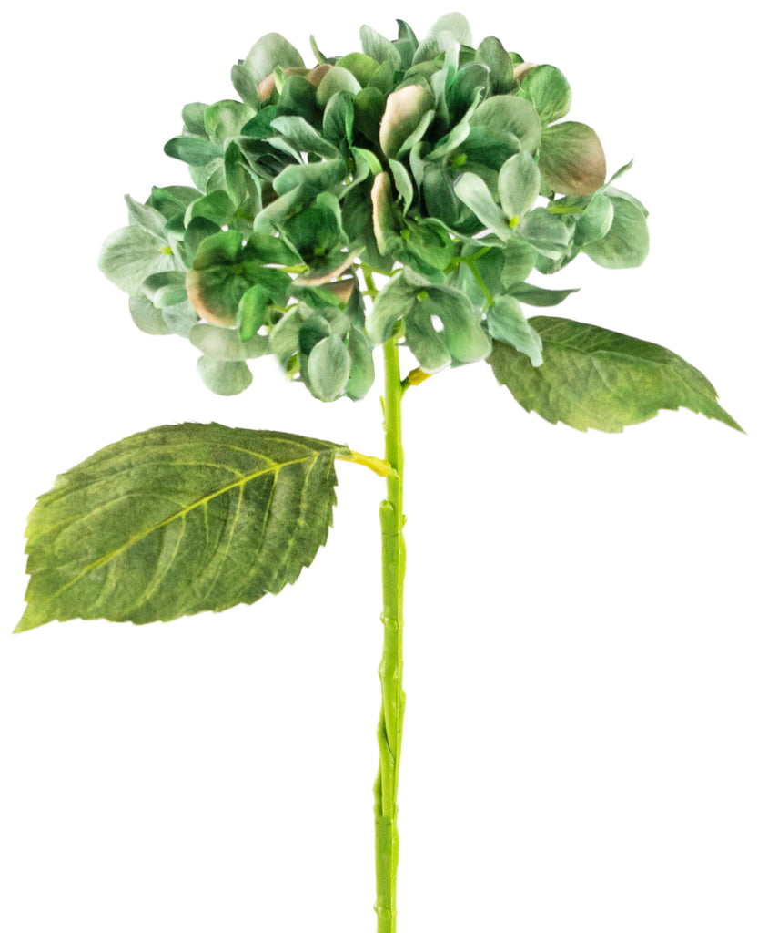 Kunst Hortensia Deluxe Groen | 33 cm