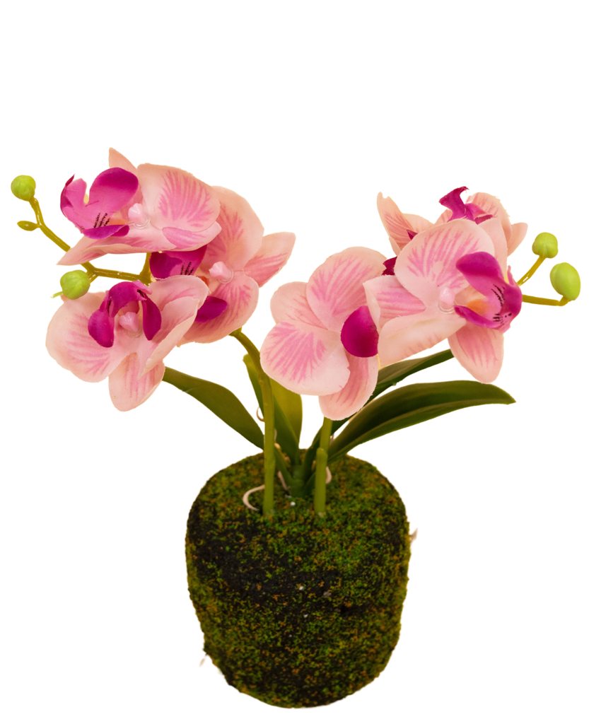 Kunst Orchidee Roze | 22 cm