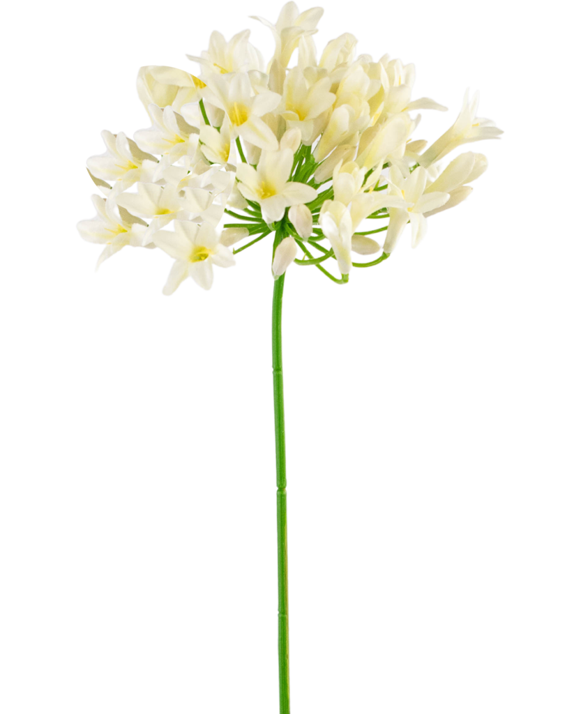 Kunstbloem Agapanthus Wit | 75 cm