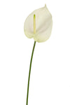 Kunstbloem Anthurium 65 cm wit