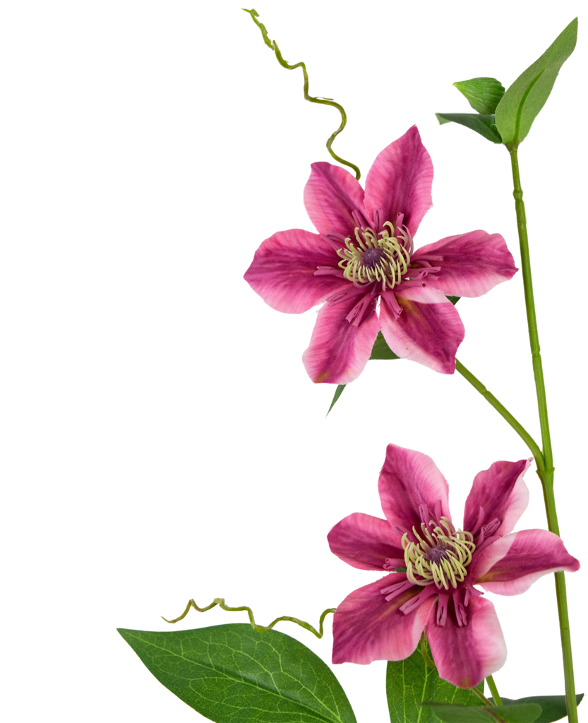 Kunstbloem Clematis Paars | 78 cm