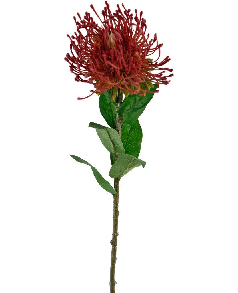 Kunstbloem Protea 73 cm rood