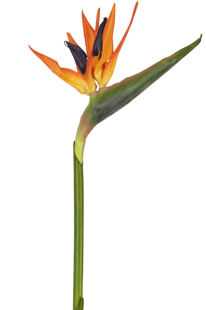 Kunstbloem Strelitzia Rood/Paars | 80 cm