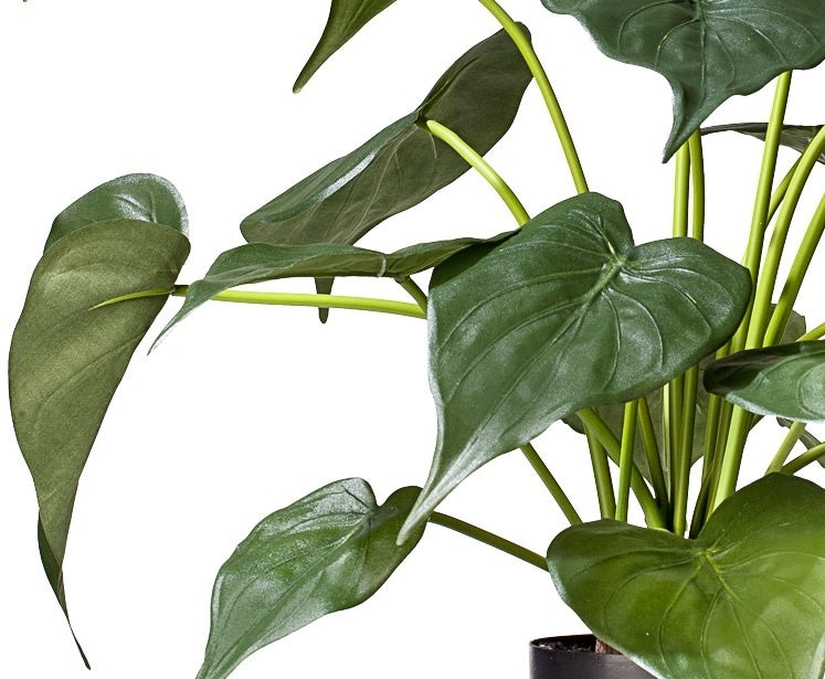 Kunstplant Alocasia 51 cm