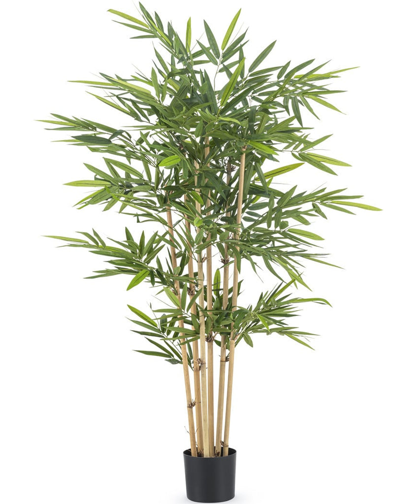 Plant Bamboe Brandvertragend Groen | 150 cm