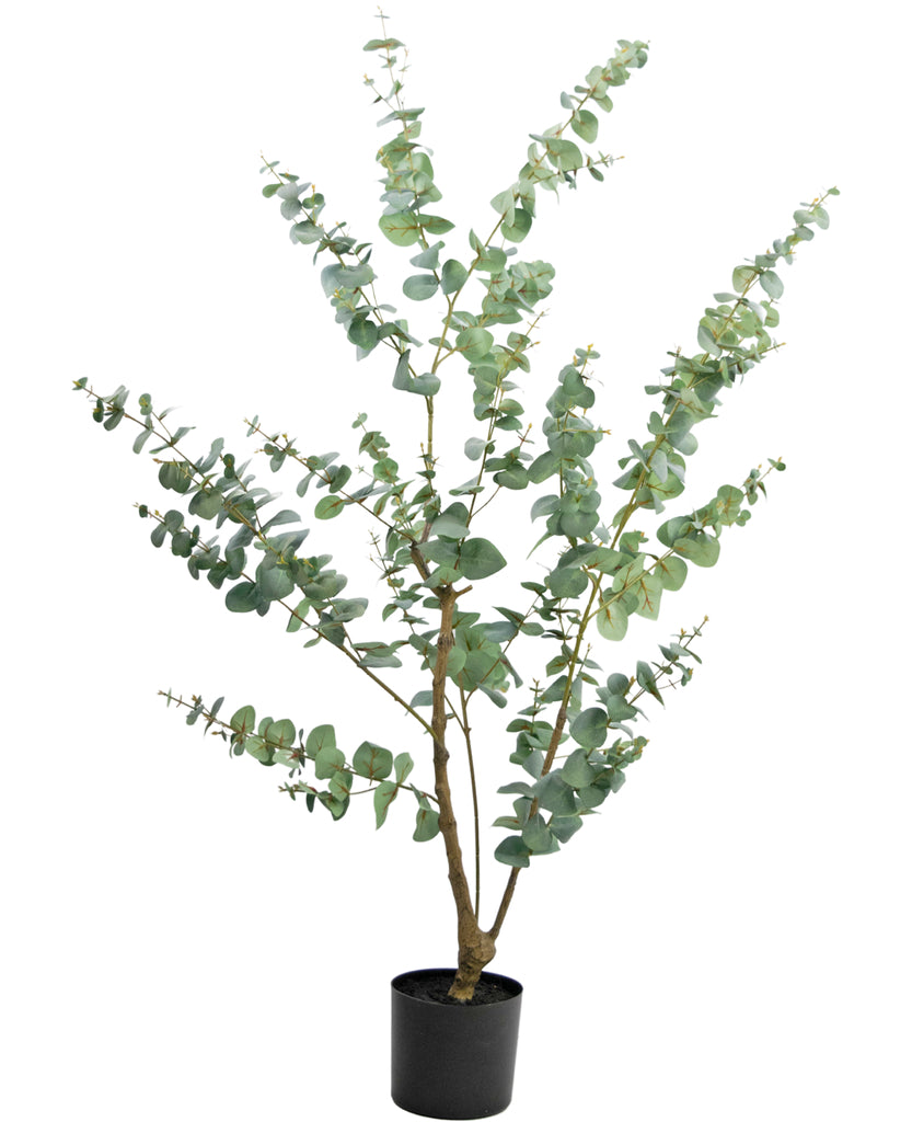 Plant Eucalyptus Groen | 150 cm