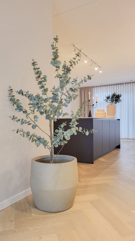 Plant Eucalyptus Groen | 150 cm