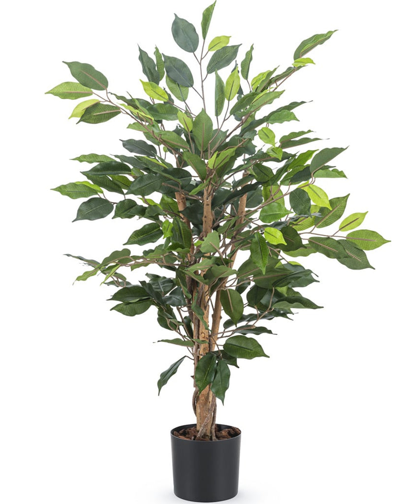 Plant Ficus Groen | 90 cm