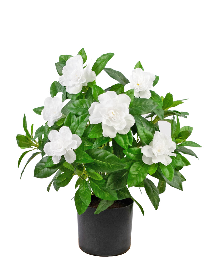 Kunstplant Gardenia 39 cm wit