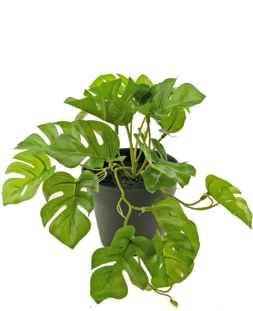 Kunstplant Monstera 25 cm