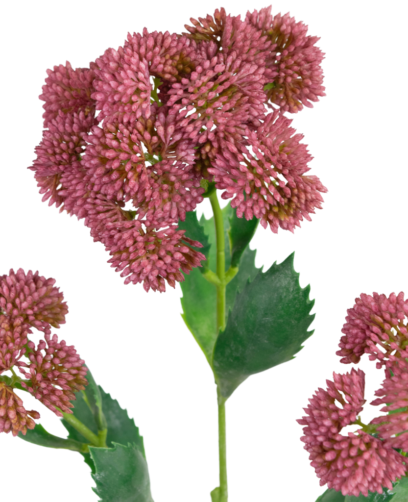 Kunsttak Sedum Rood | 48 cm