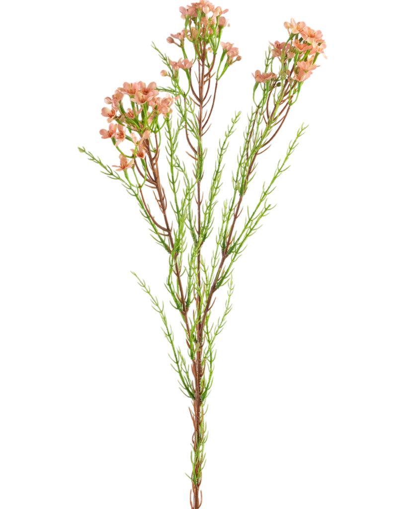 Kunsttak Waxflower Roze | 78 cm