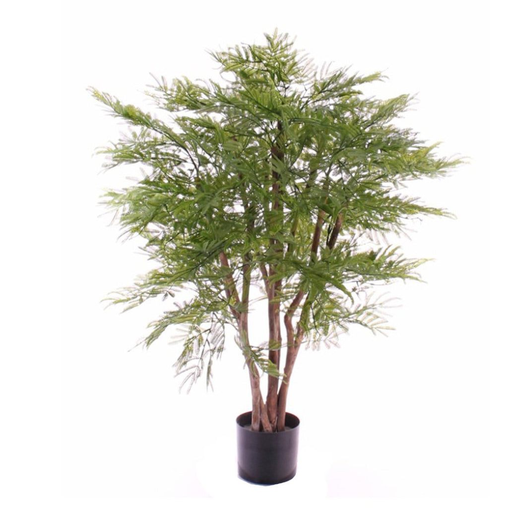 Mimosa plant UV H110