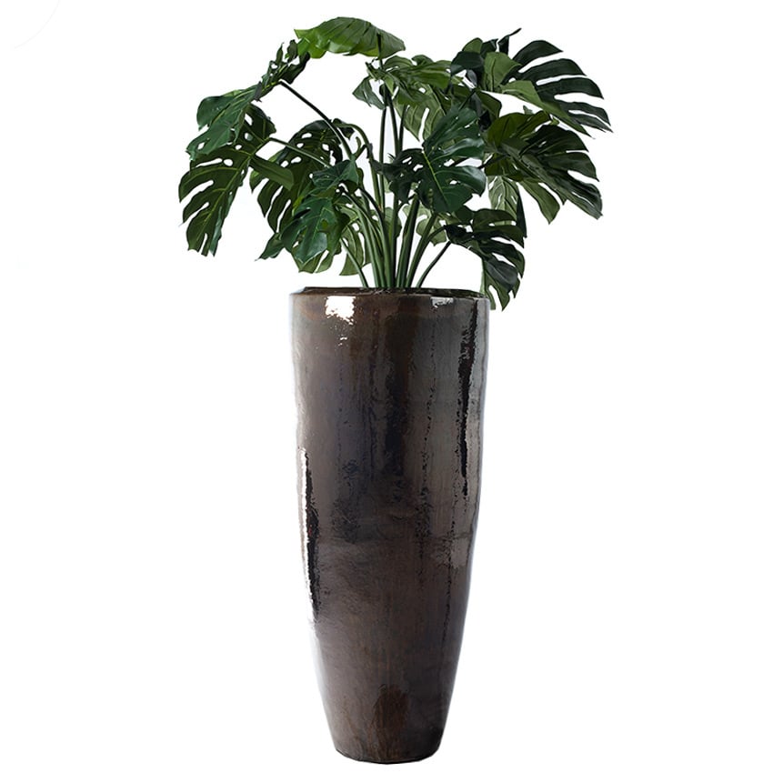 Monstera H100